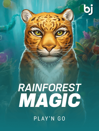Rainforest Magic game
